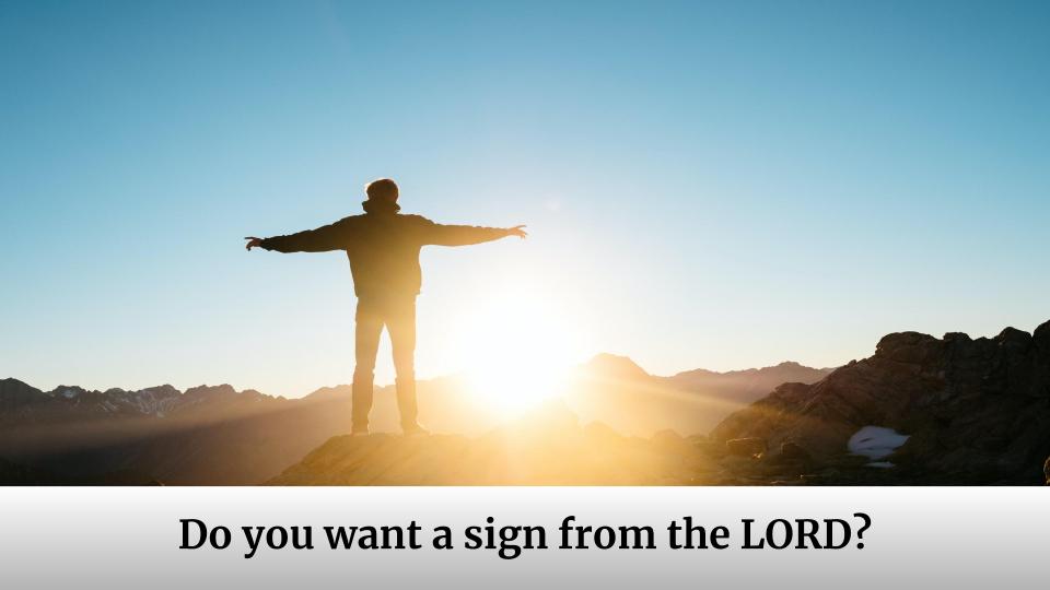 Do you want a sign from the LORD?