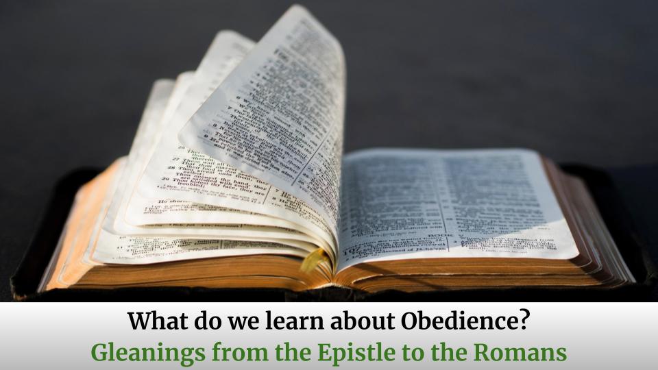 Gleanings from the Epistle to the Romans